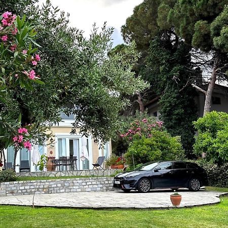Villa Vasiliki PalaiónTsiflíkion Εξωτερικό φωτογραφία