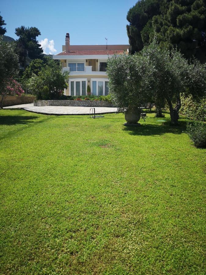Villa Vasiliki PalaiónTsiflíkion Εξωτερικό φωτογραφία