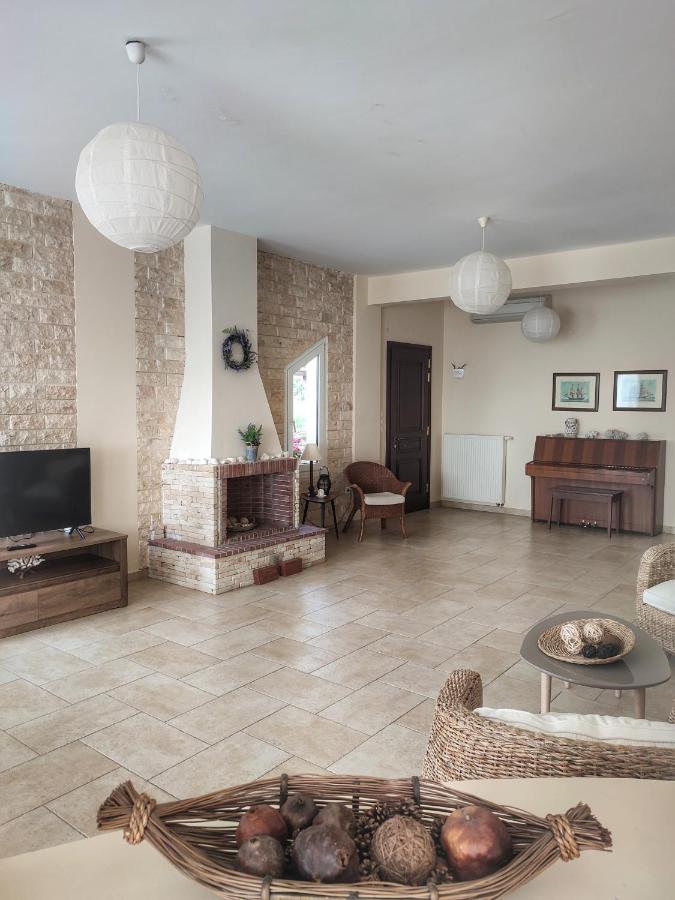 Villa Vasiliki PalaiónTsiflíkion Εξωτερικό φωτογραφία