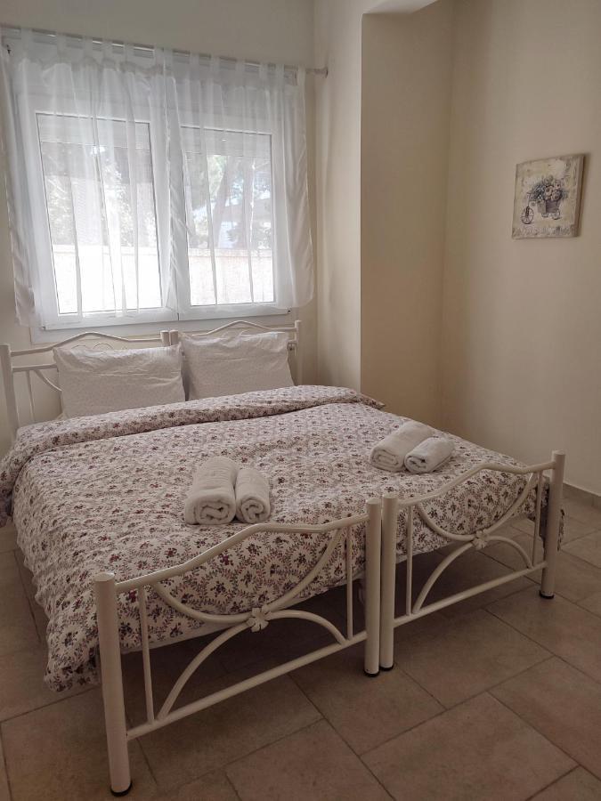Villa Vasiliki PalaiónTsiflíkion Εξωτερικό φωτογραφία